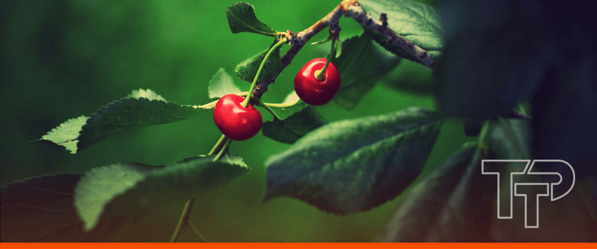The whole orchard: how trade securitisation works