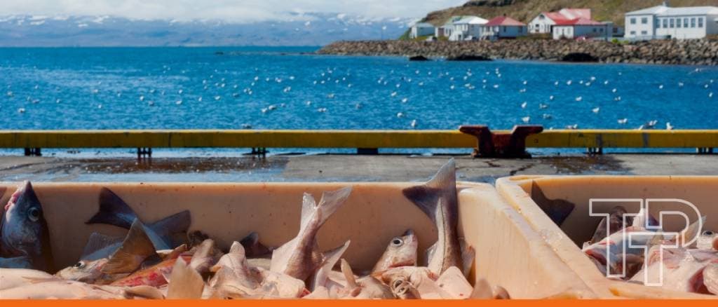 WTO Fisheries Agreement takes effect