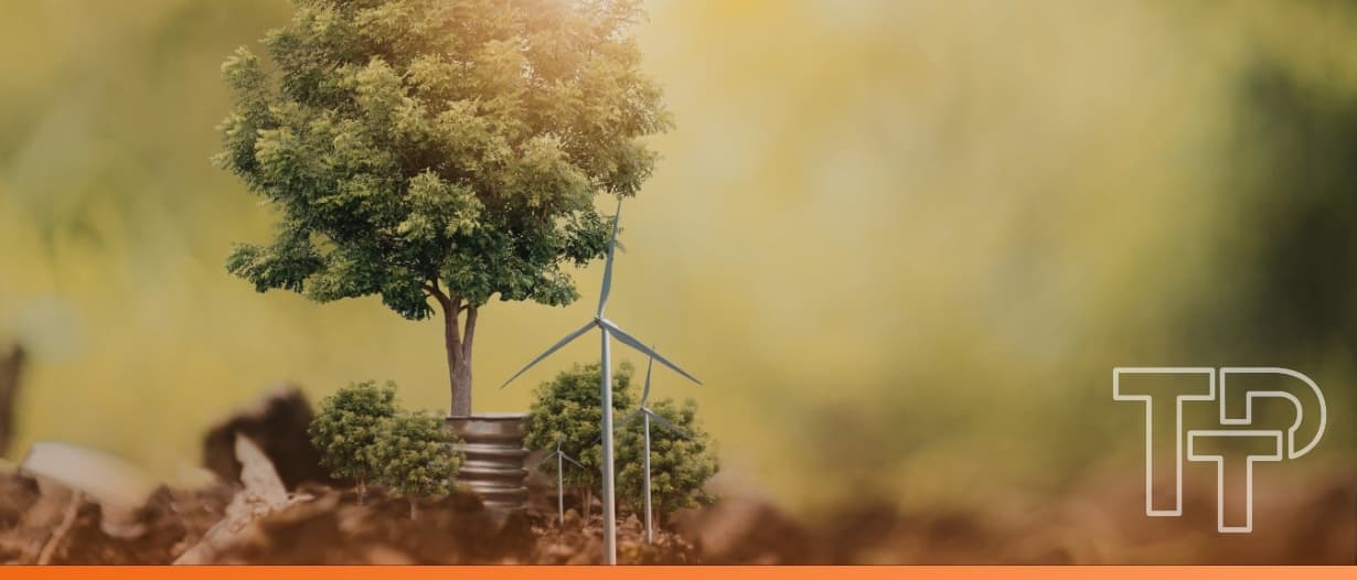 Not just green: Digital trade as an ecosystem for inclusive and sustainable innovation