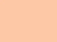 Corporate background