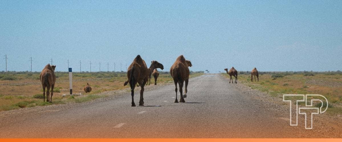 Standard Chartered secures USD 785 million financing facility to support Kazakhstan’s National Road Rehabilitation Programme