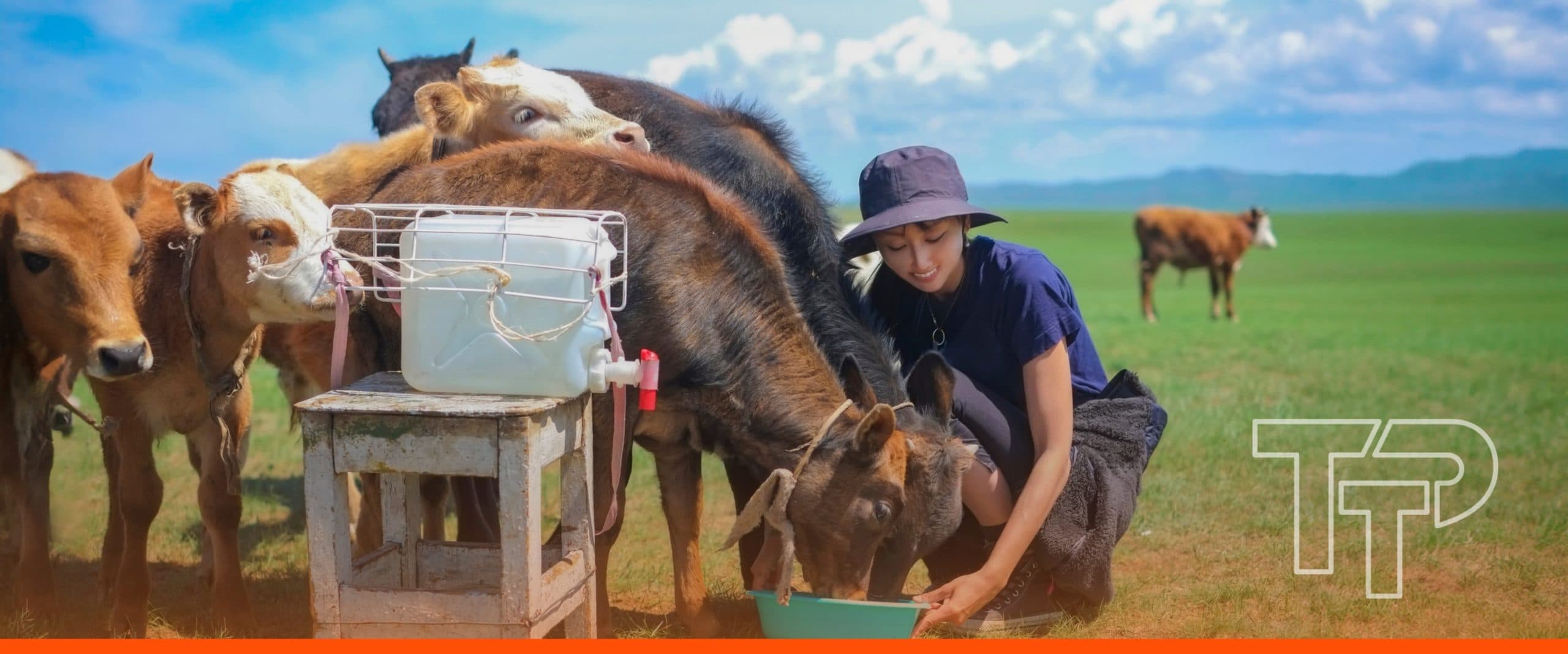 In Mongolia, ADB designed a supply chain finance programme around the collection centre