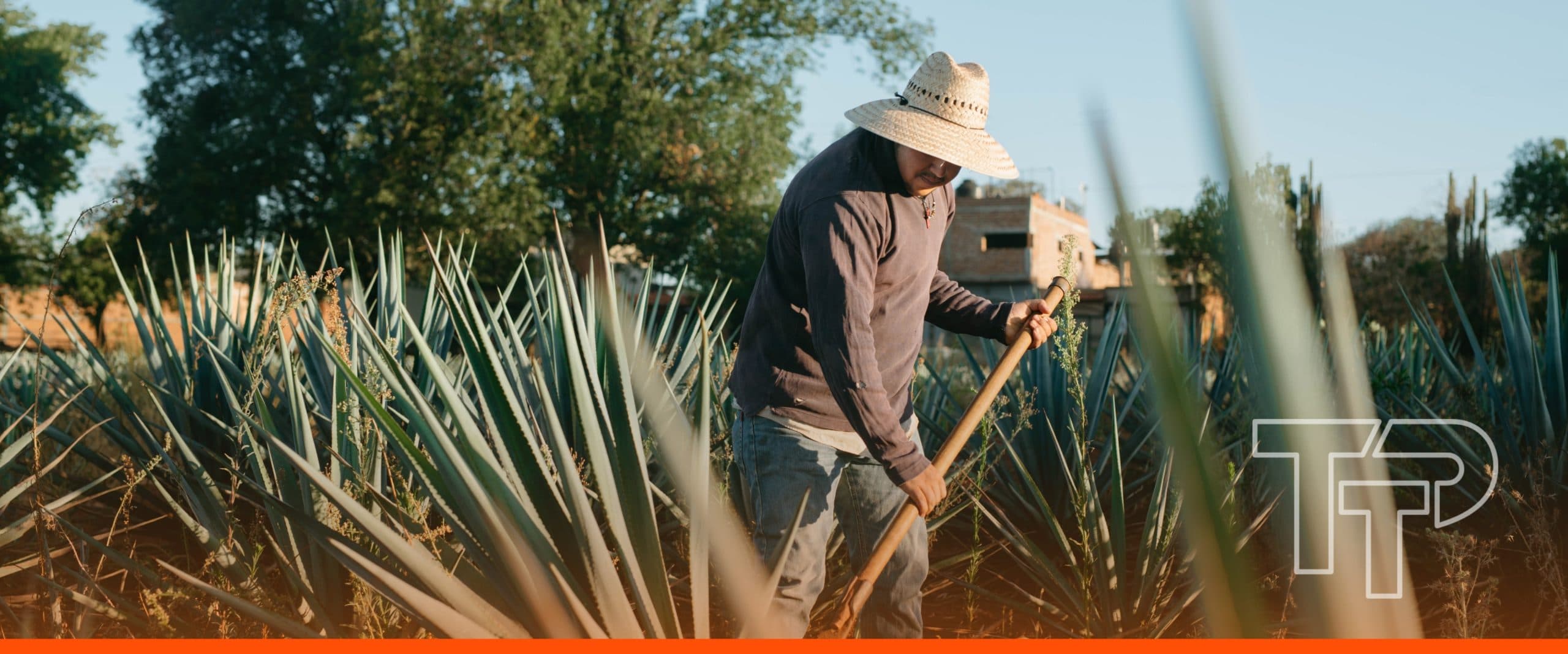 Mexico was IDB Invest’s laboratory for reverse factoring