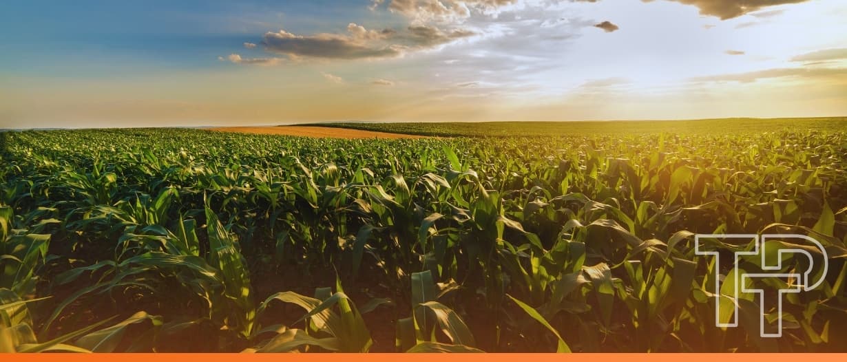 Data, sovereignty, and the future of food: Inside the Commonwealth’s NAgDI vision