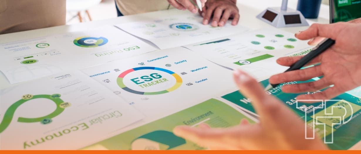 VIDEO | SROI: Measuring impact beyond ESG