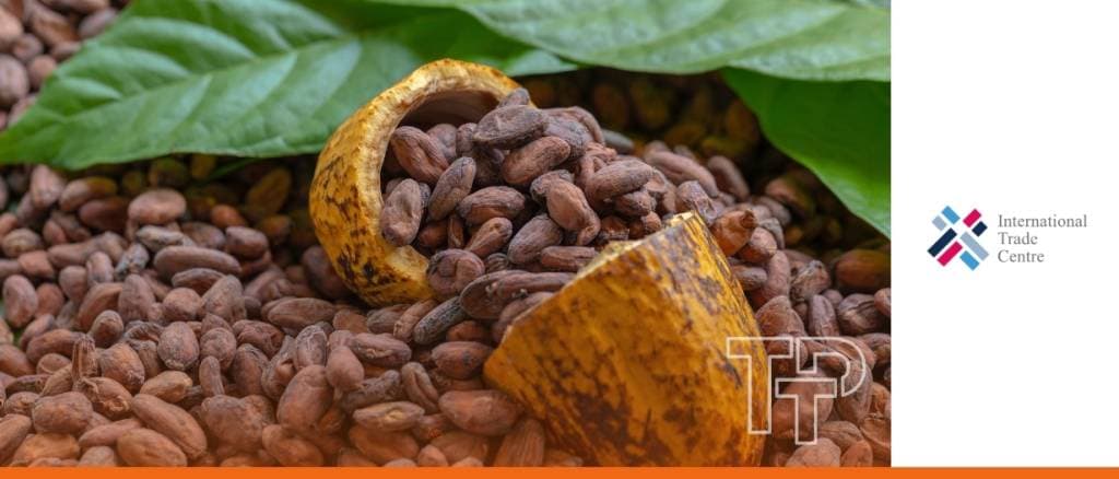 Building Africa’s first solar-powered chocolate factory and pushing for fair trade rules