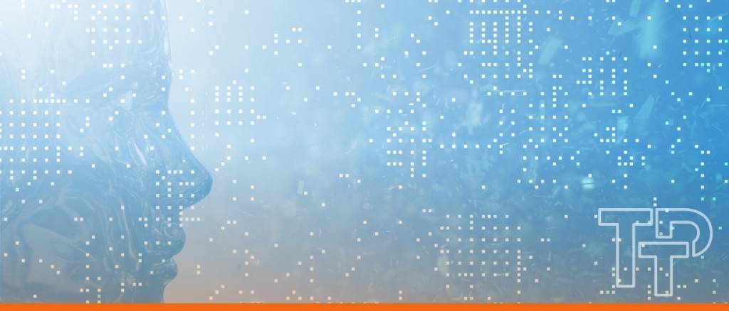 AI risk management