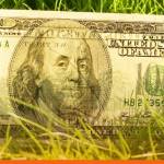 Hedge me if you can- Treasurers tangle with tariffs turmoil