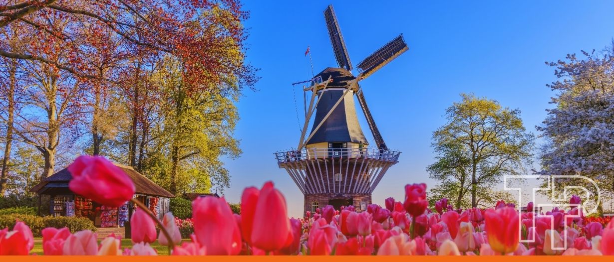 Netherlands proposes legal framework for...